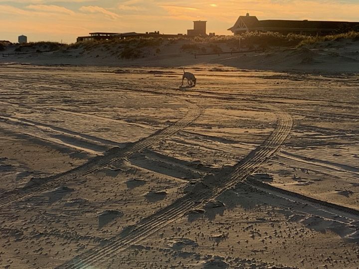 Wide beach at sunset with tire tracks in the sand and Max small in the distance
